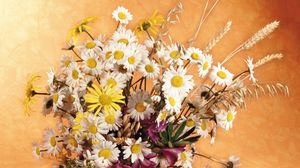 Preview wallpaper daisies, flowers, field, ears, bouquet, pitcher
