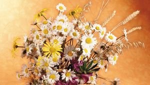 Preview wallpaper daisies, flowers, field, ears, bouquet, pitcher