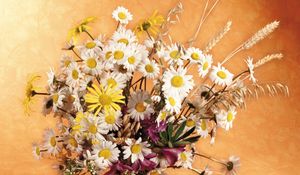 Preview wallpaper daisies, flowers, field, ears, bouquet, pitcher