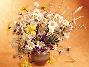 Preview wallpaper daisies, flowers, field, ears, bouquet, pitcher