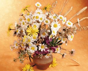 Preview wallpaper daisies, flowers, field, ears, bouquet, pitcher