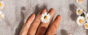 Preview wallpaper daisies, flowers, hand