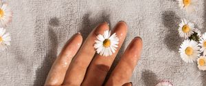Preview wallpaper daisies, flowers, hand