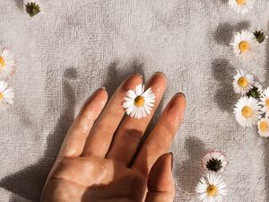 Preview wallpaper daisies, flowers, hand