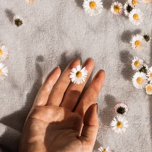 Preview wallpaper daisies, flowers, hand