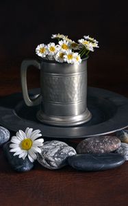 Preview wallpaper daisies, flowers, mug, stones