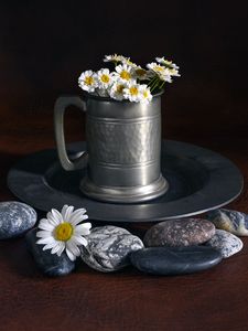 Preview wallpaper daisies, flowers, mug, stones