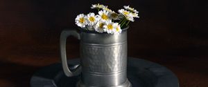 Preview wallpaper daisies, flowers, mug, stones