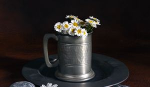 Preview wallpaper daisies, flowers, mug, stones