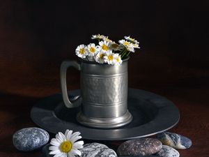 Preview wallpaper daisies, flowers, mug, stones