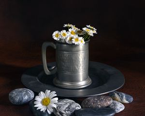 Preview wallpaper daisies, flowers, mug, stones