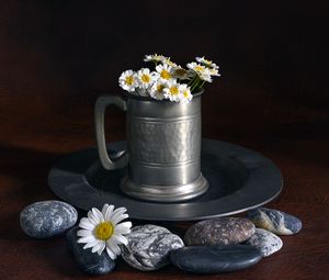 Preview wallpaper daisies, flowers, mug, stones