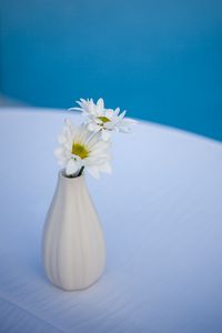 Preview wallpaper daisies, flowers, petals, vase, white, blue