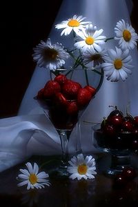 Preview wallpaper daisies, flowers, strawberries, cherries, summer, still life