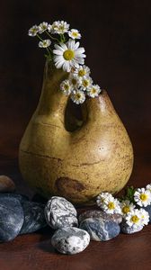 Preview wallpaper daisies, flowers, vase, stones
