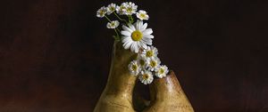 Preview wallpaper daisies, flowers, vase, stones