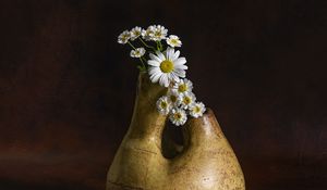 Preview wallpaper daisies, flowers, vase, stones