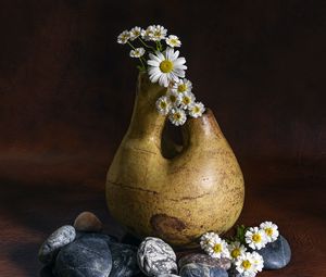 Preview wallpaper daisies, flowers, vase, stones