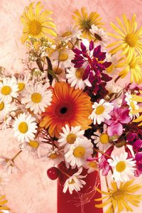 Preview wallpaper daisies, gerbera, flower, cherry, vase, composition