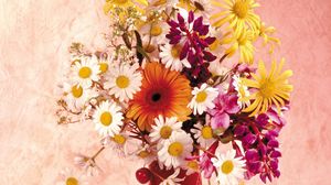 Preview wallpaper daisies, gerbera, flower, cherry, vase, composition