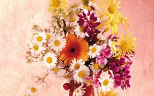 Preview wallpaper daisies, gerbera, flower, cherry, vase, composition