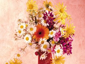 Preview wallpaper daisies, gerbera, flower, cherry, vase, composition