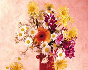 Preview wallpaper daisies, gerbera, flower, cherry, vase, composition