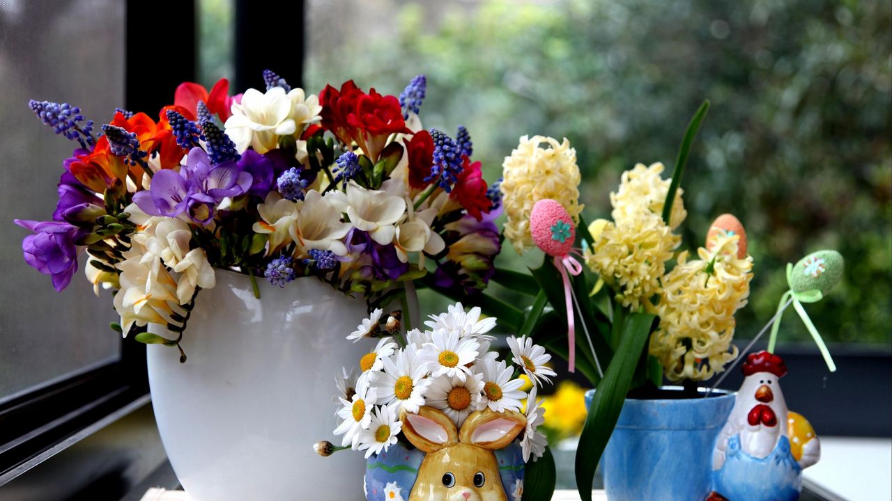 Wallpaper daisies, hyacinths, muscari, freesia, flowers, bouquets, beauty