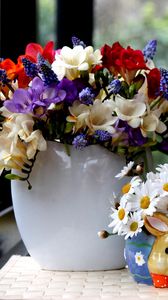 Preview wallpaper daisies, hyacinths, muscari, freesia, flowers, bouquets, beauty