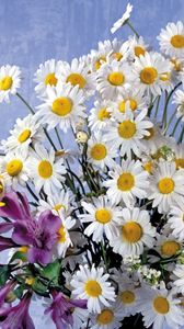 Preview wallpaper daisies, lilies, flowers, bouquet, background