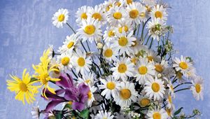 Preview wallpaper daisies, lilies, flowers, bouquet, background