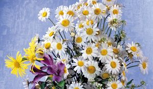 Preview wallpaper daisies, lilies, flowers, bouquet, background