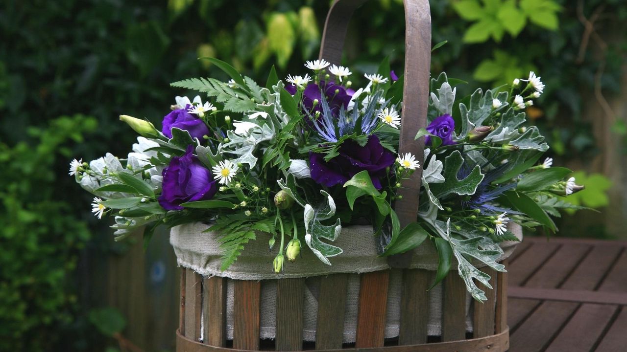 Wallpaper daisies, lisianthus russell, greens, basket, table