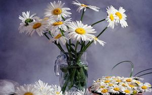 Preview wallpaper daisies, much, bouquets, pitcher, basket