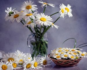 Preview wallpaper daisies, much, bouquets, pitcher, basket