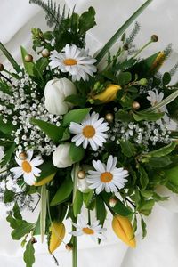 Preview wallpaper daisies, tulips, gypsophila, bouquet, design, tender