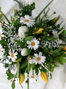 Preview wallpaper daisies, tulips, gypsophila, bouquet, design, tender