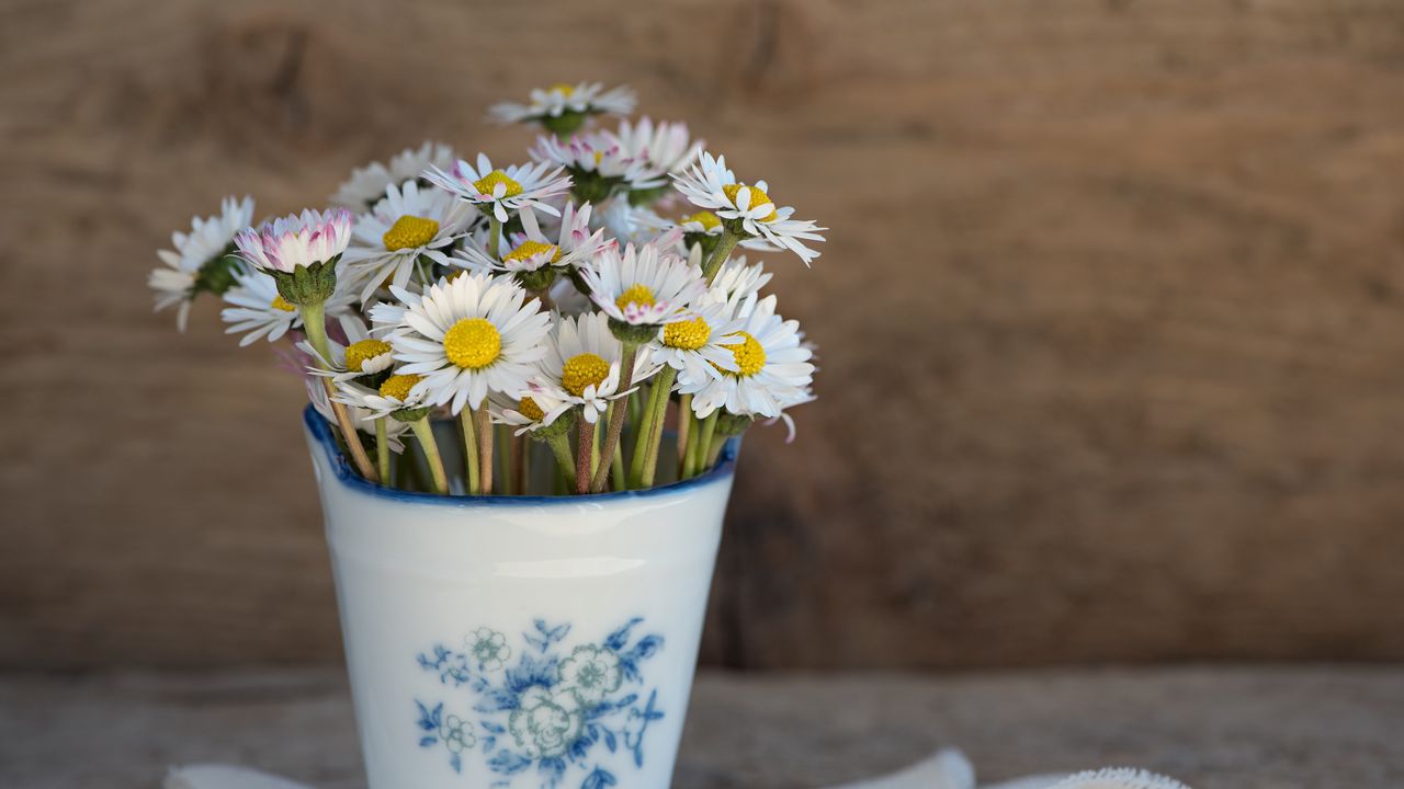 Wallpaper daisies, vase, napkin