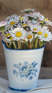Preview wallpaper daisies, vase, napkin