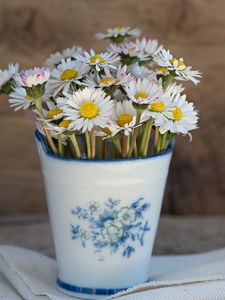 Preview wallpaper daisies, vase, napkin
