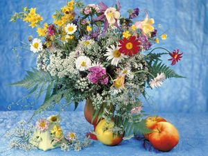 Preview wallpaper daisies, vase, table, apples, bouquet