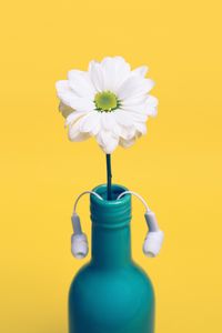 Preview wallpaper daisy, bottle, headphones