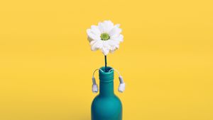 Preview wallpaper daisy, bottle, headphones