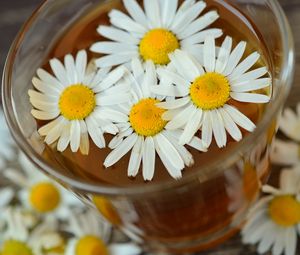 Preview wallpaper daisy, drink, petals