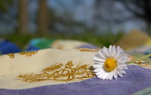 Preview wallpaper daisy, flower, fabric, nature