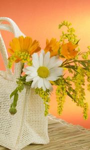 Preview wallpaper daisy, flowers, field, bag