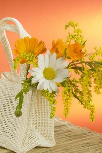 Preview wallpaper daisy, flowers, field, bag