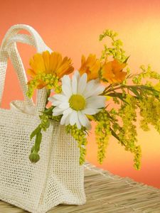 Preview wallpaper daisy, flowers, field, bag