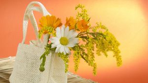 Preview wallpaper daisy, flowers, field, bag