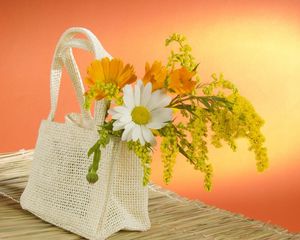 Preview wallpaper daisy, flowers, field, bag